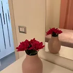 Damar 公寓 加里